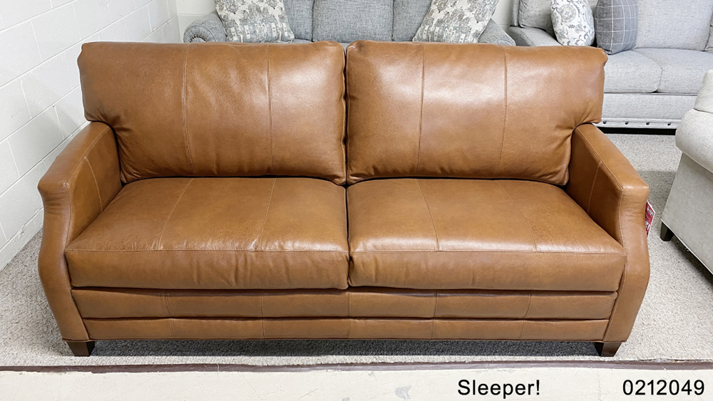 Leather Queen Sleeper Sofa